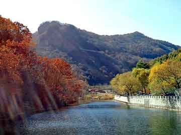 澳门二四六天天彩图库，华速物流